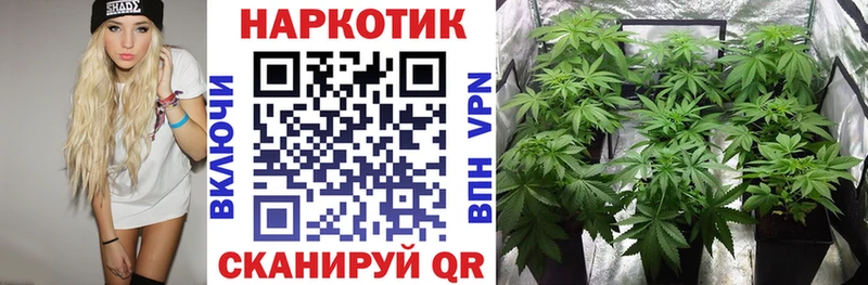 Виды наркотиков купить Валдай Конопля  Бутират  Амфетамин  Мефедрон  APVP  Галлюциногенные грибы 