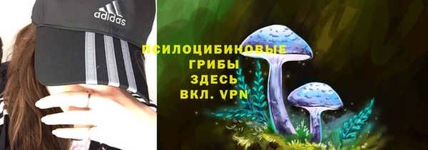 герыч Алексин