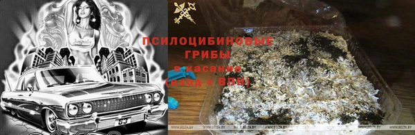 a pvp Алзамай